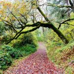 LA NATURA AL CENTRO